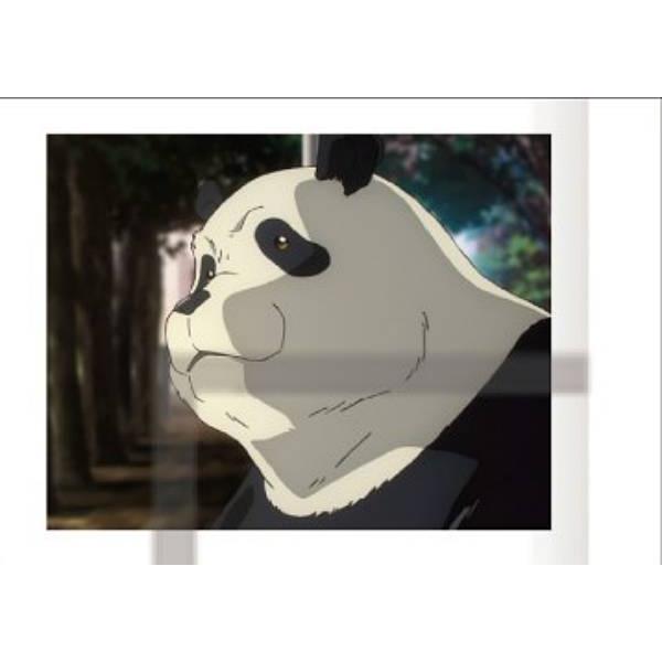 パンダ】呪術廻戦 第2期 ぱしゃこれ 第5弾 -渋谷事変- : トレカ 呪術廻戦ぱしゃこれパンダ