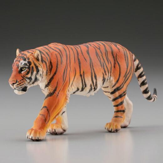 ベンガルトラ Panthera tigris 原型制作：松村しのぶ】カプセルQ