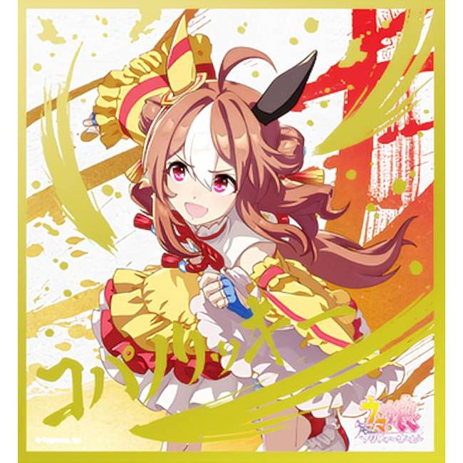 コパノリッキー】 ウマ娘プリティーダービー ビジュアルアートボード3