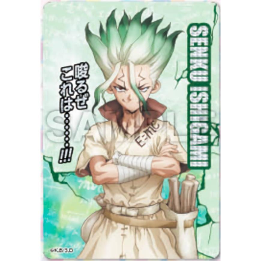 箔押し] 石神千空 (SR スーパーレア)】Dr.STONE コレクターズカード