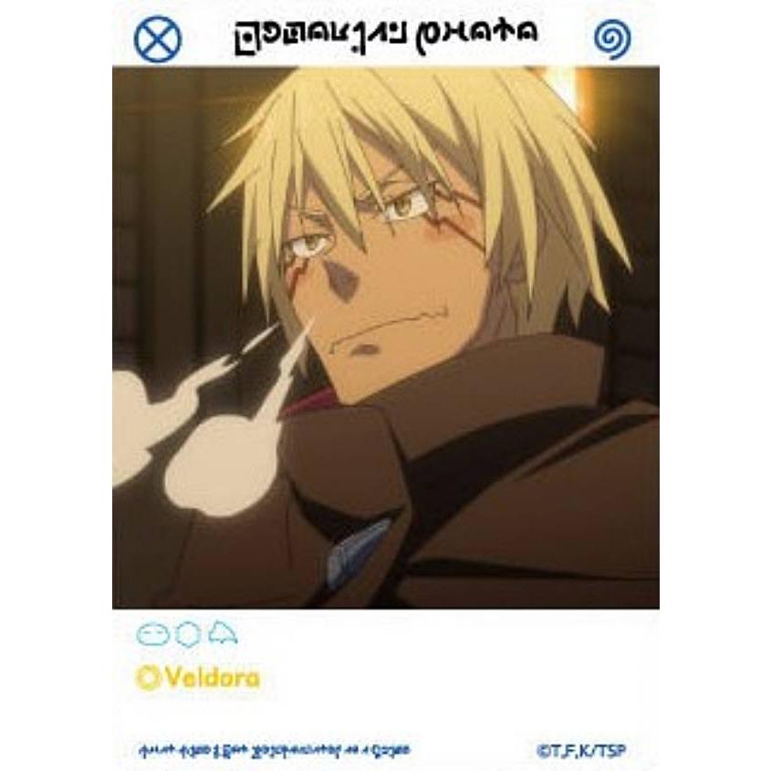 22.ヴェルドラ(人間)】転生したらスライムだった件 EMOCA : トレカ