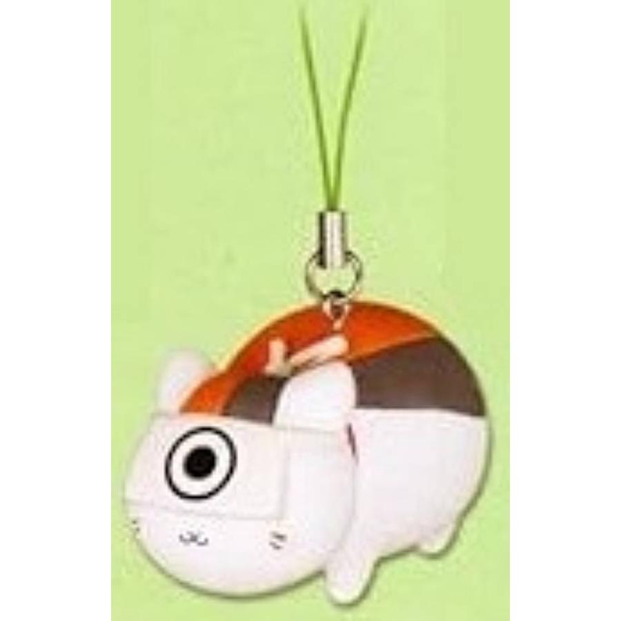 一門の）式に変装したニャンコ先生】夏目友人帳 ニャンコ先生 徒然