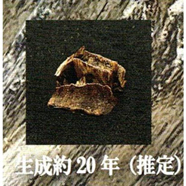生成約20年（推定）】最高級香木 沈香コレクション : トレカショップ