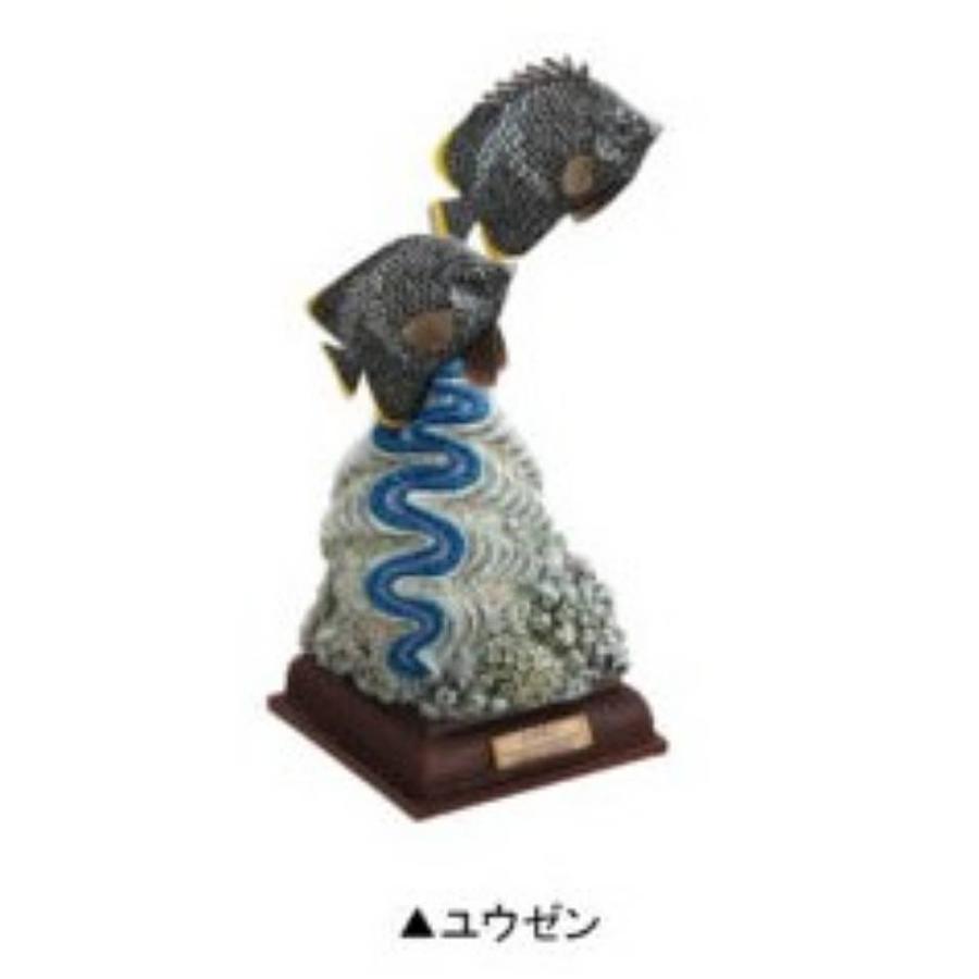 ユウゼン】ネイチャーテクニカラー 小笠原 特装版 : トレカ