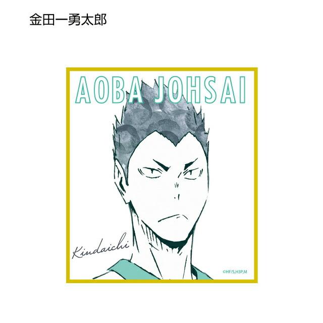 金田一勇太郎】 ハイキュー!! トレーディングAni-Art ミニ色紙 Ver.B