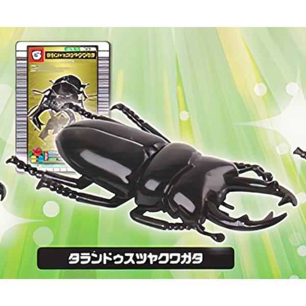 タランドゥスツヤクワガタ】 甲虫王者ムシキング ANNIVERSARY 20th