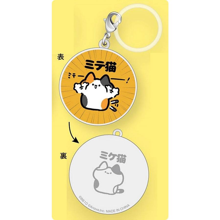 ミテ猫】8810(はやと)めじるしチャーム : トレカショップ LEAD. - 通販