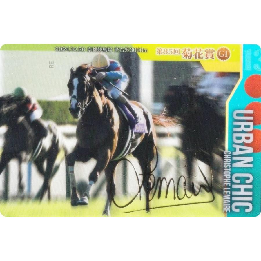 サラブレッドホースコレクション 金色箔押し26種 ノーマル セミコンプ 56枚 サラブレッドホースコレクション 金色箔押し26種 ノーマル セミコンプ