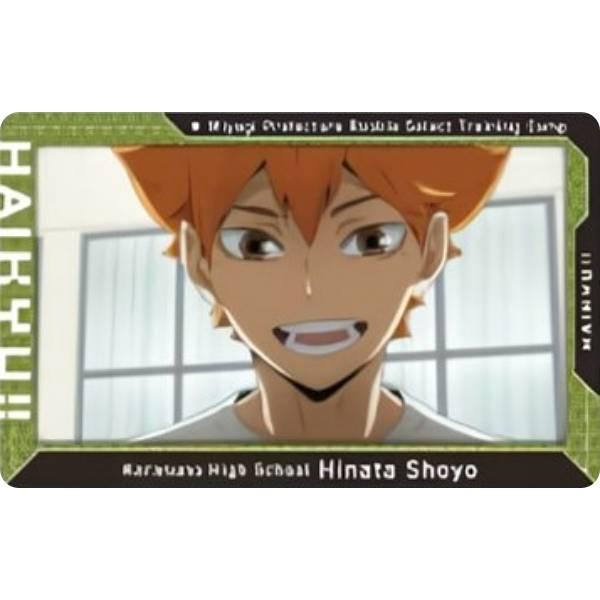 41.日向翔陽】ハイキュー!! スナップカード : トレカショップ LEAD