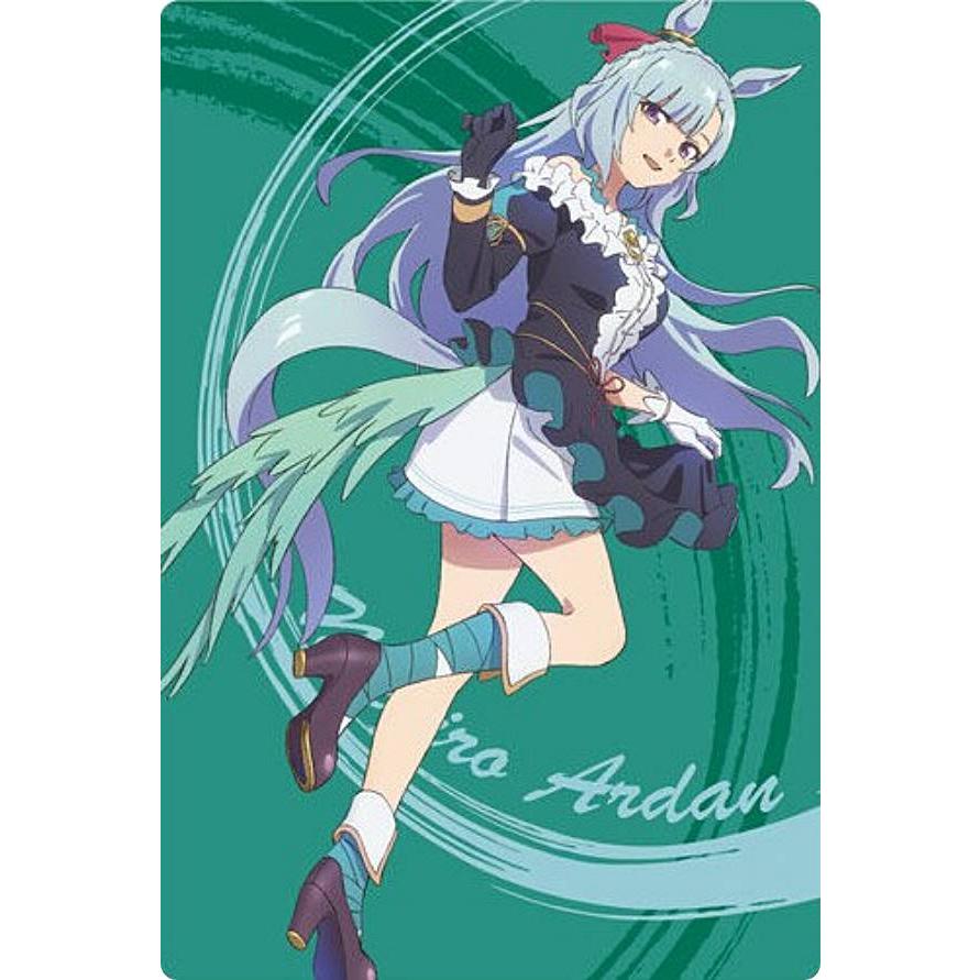 22 メジロアルダン(描き下ろし) (R レア) 】アニメ『ウマ娘 シンデレラ