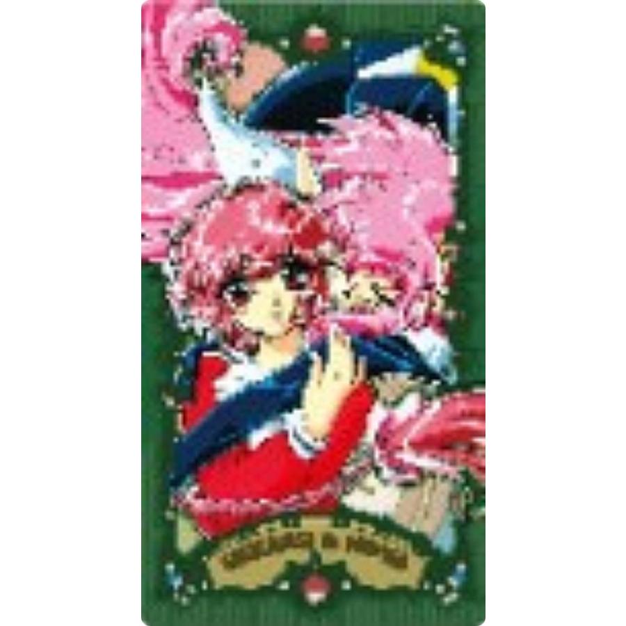 獅堂光＆ノヴァ】魔法騎士レイアース アルカナカードコレクション