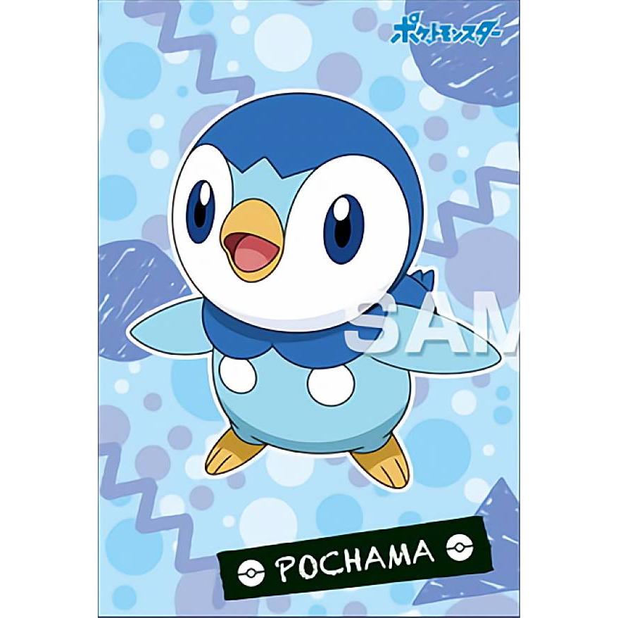 ポッチャマ】ポケットモンスター ポケモンブロマイドガム : トレカ