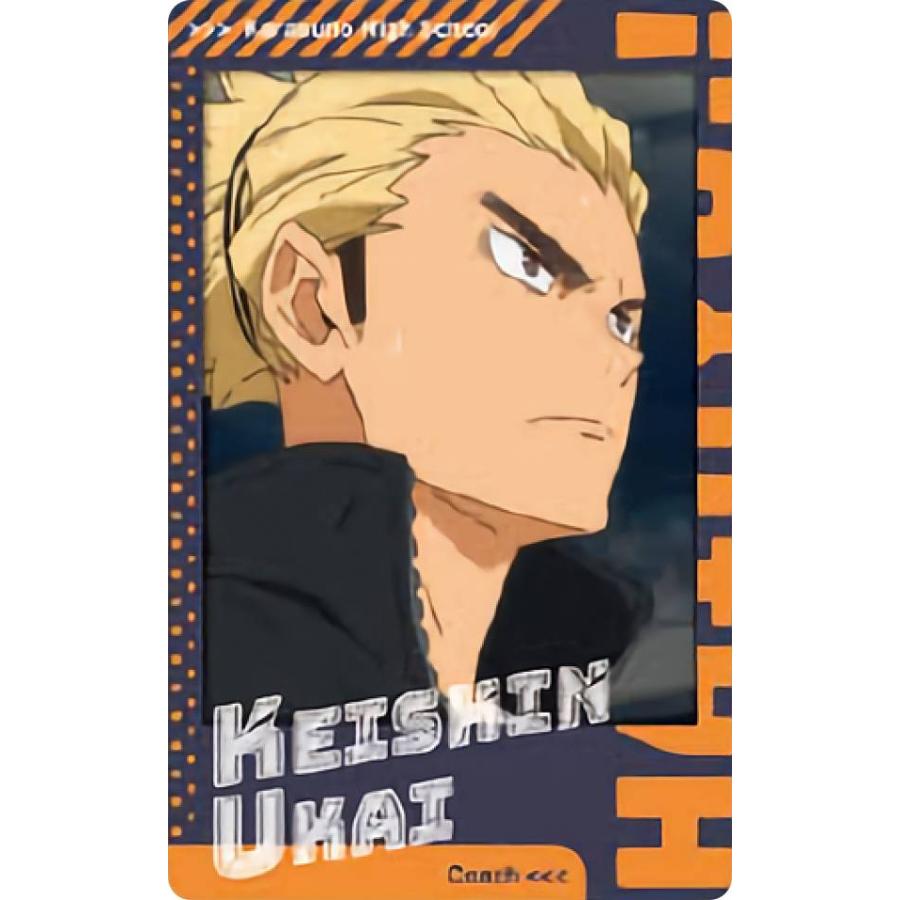 烏養繋心】 ハイキュー!! TO THE TOP スナップマイド : トレカショップ