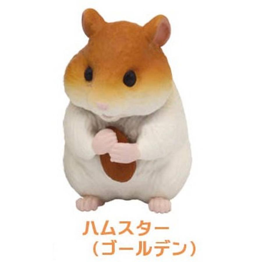 ハムスター(ゴールデン)】カプセルアニア ちいさなおせわ動物編