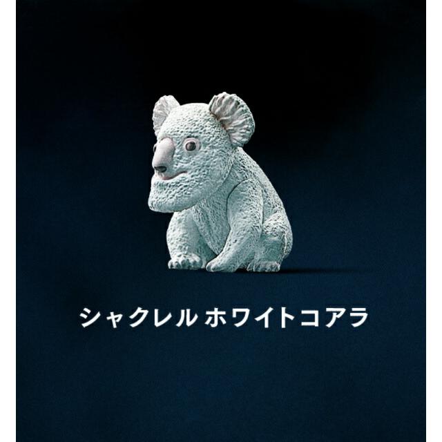 コアラ】パンダの穴 シャクレルプラネット ホワイト : トレカ