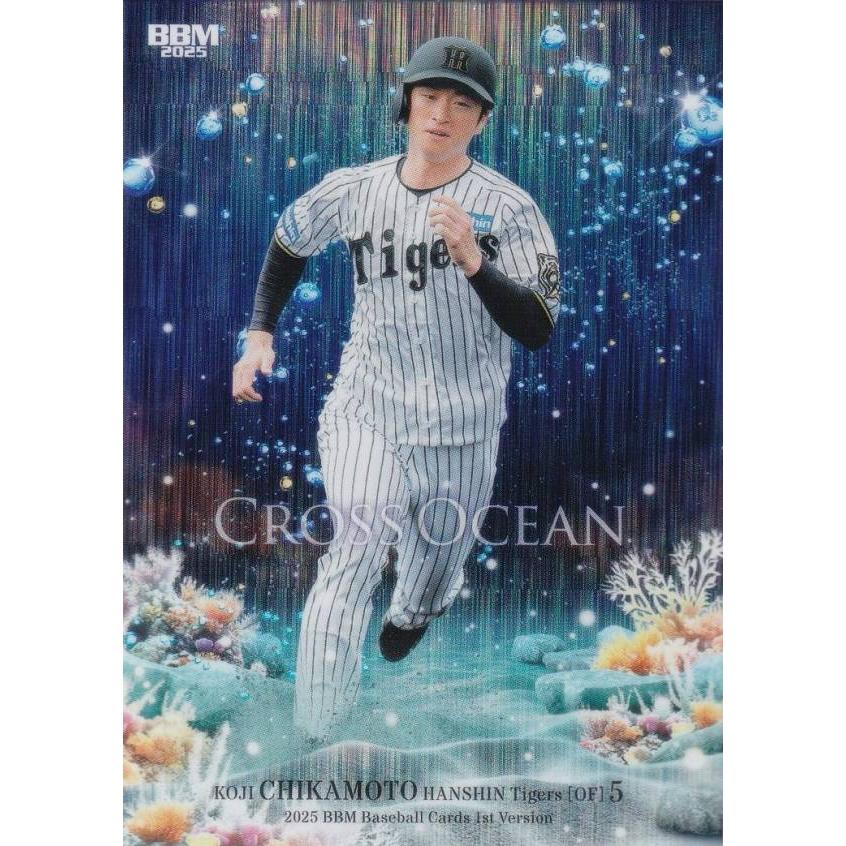 ホロ紙版 006/100】BBM ベースボールカード CG06 近本光司 阪神