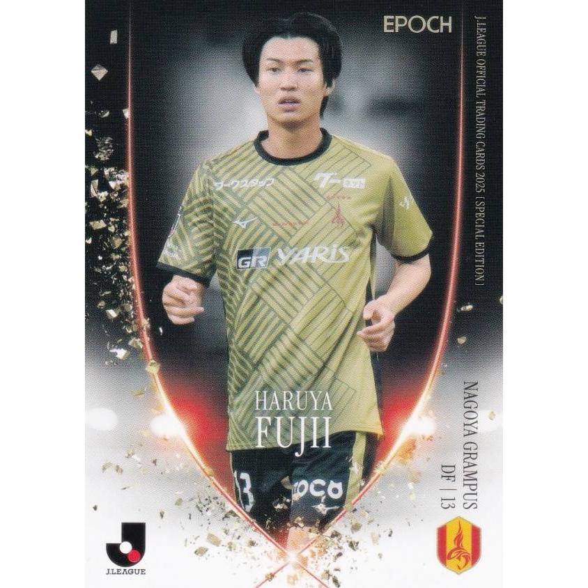 Jリーグオフィシャルトレーディングカード NG13 藤井陽也 名古屋