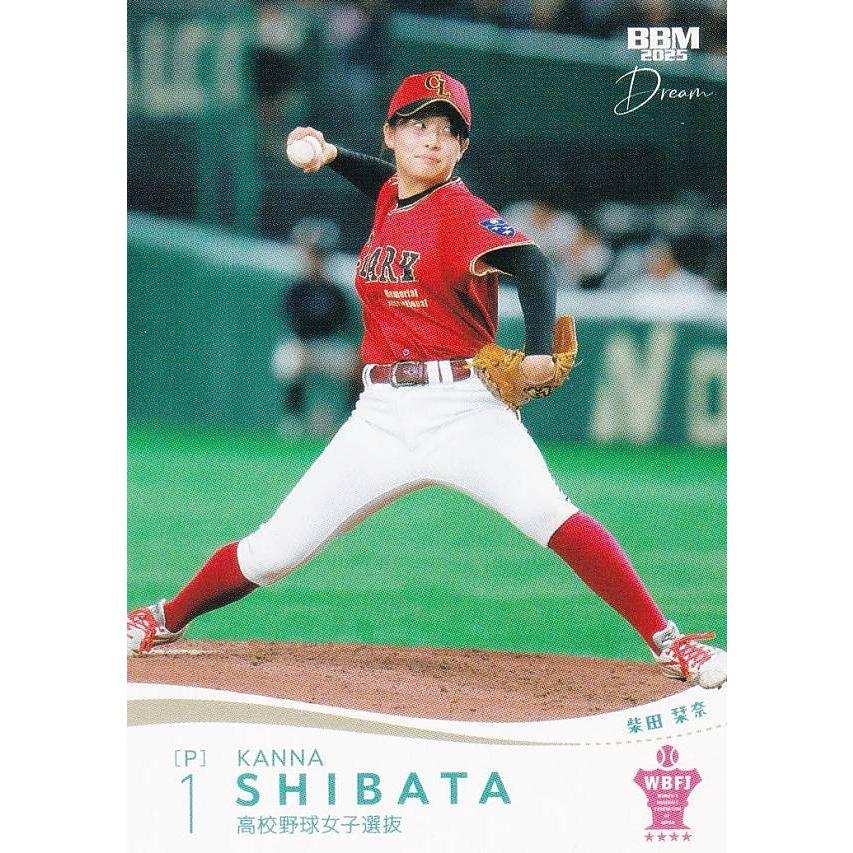 近代空手1985年8～12月、86年1～3、5～8、11、12月87年1～4月号 近代空手1985年8～12月、86年1～3、5～8、11、12月