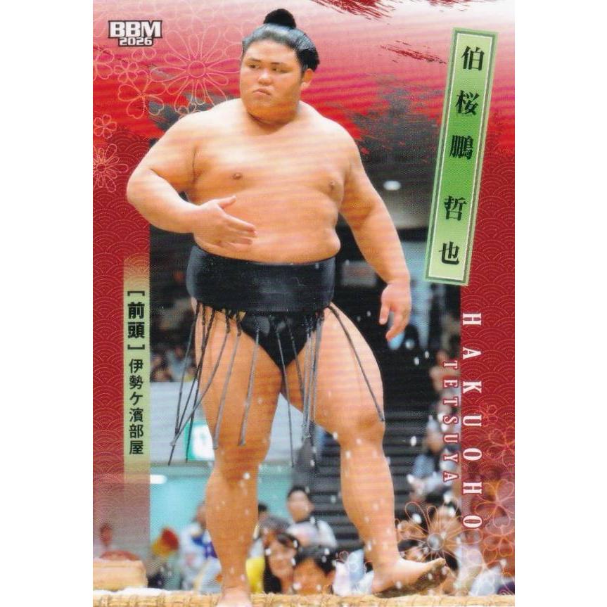 大相撲　ステッカー　伯乃富士　伯桜鵬 BBM 2026 大相撲カード 08 伯桜鵬 哲也(伯乃富士) 前頭 (レギュラー