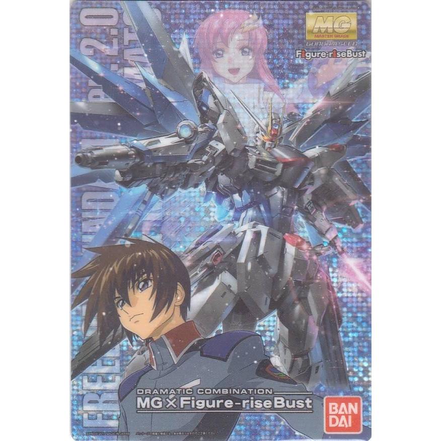 221 ZGMF-X10A フリーダムガンダム Ver.2.0 ＆ キラヤマト