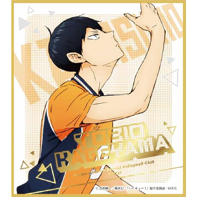 影山飛雄】 ハイキュー!! ビジュアル色紙コレクション6 : トレカ