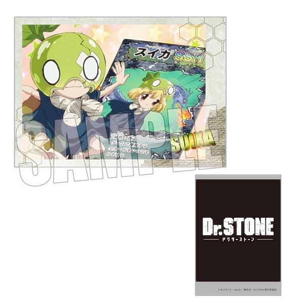 スイカA】 コレクションカード Dr.STONE : トレカショップ LEAD