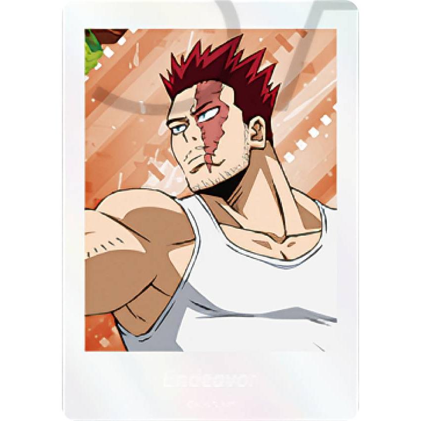 僕のヒーローアカデミア 透明カバー付き エンデヴァー/私服 (ノーマル) 】 僕のヒーローアカデミア