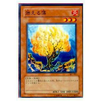 【プレイ用】遊戯王 307-007 燃える藻(日本語版 ノーマル)【中古】 | 