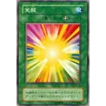 【プレイ用】遊戯王 B1-29 覚醒(日本語版 ノーマル)  Booster R1  【中古】 | 