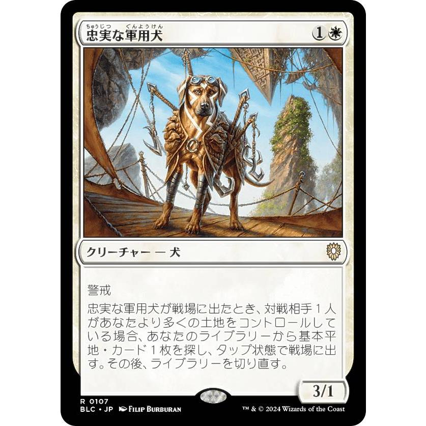 マジックザギャザリング BLC JP 0107 忠実な軍用犬 (日本語版 レア 