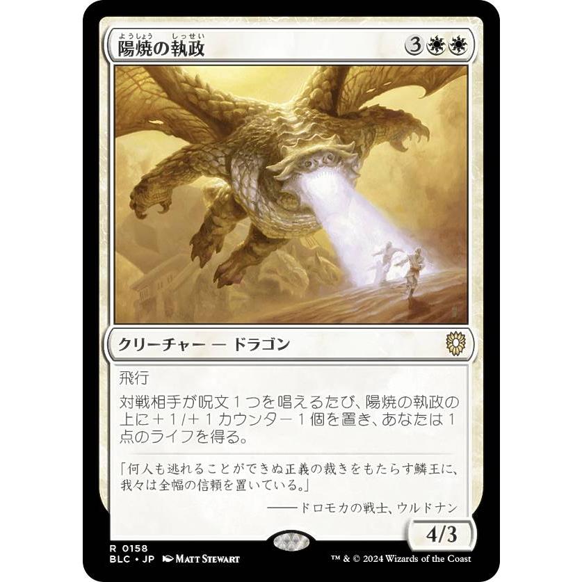 マジックザギャザリング BLC JP 0158 陽焼の執政 (日本語版 レア 
