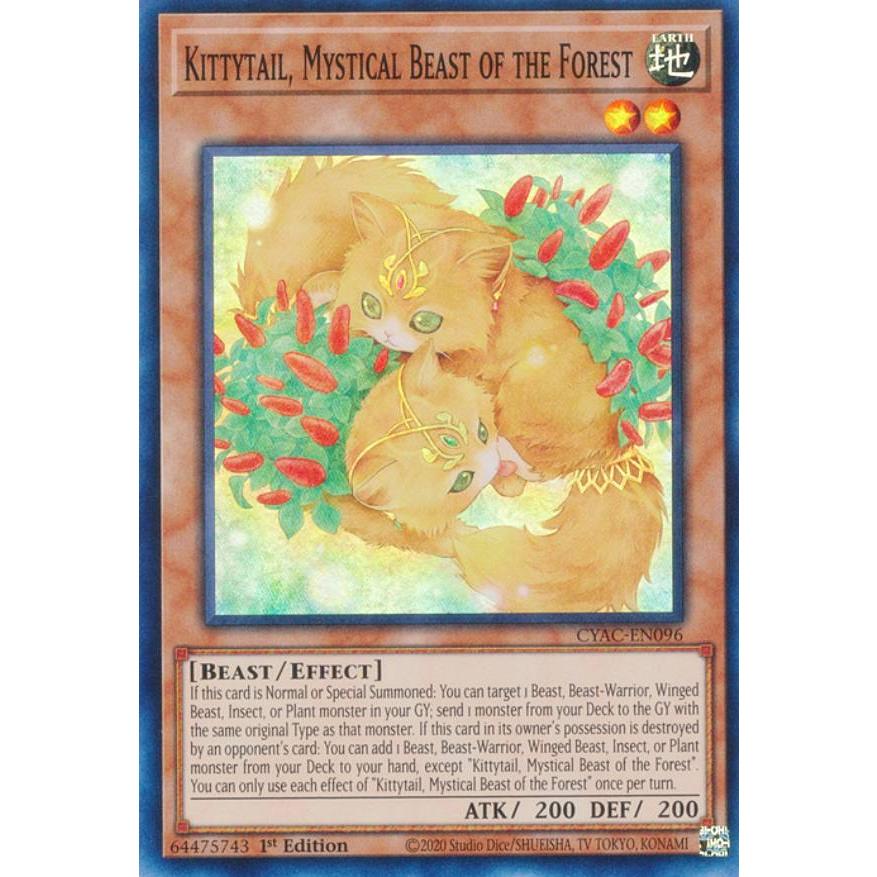 ⭐︎ザ・ビースト 　完全版！！ ⭐︎ザ・ビースト 完全版！！ Amazon.co.jp: 「BEASTBOX周年記念