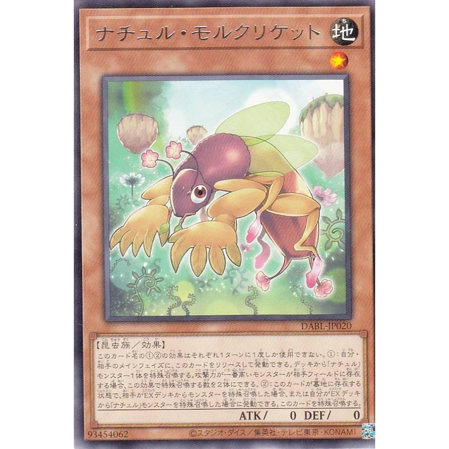 【プレイ用】 遊戯王 DABL-JP020 ナチュル・モルクリケット (日本語版 レア) ダークウィング・ブラスト 【中古】 | 