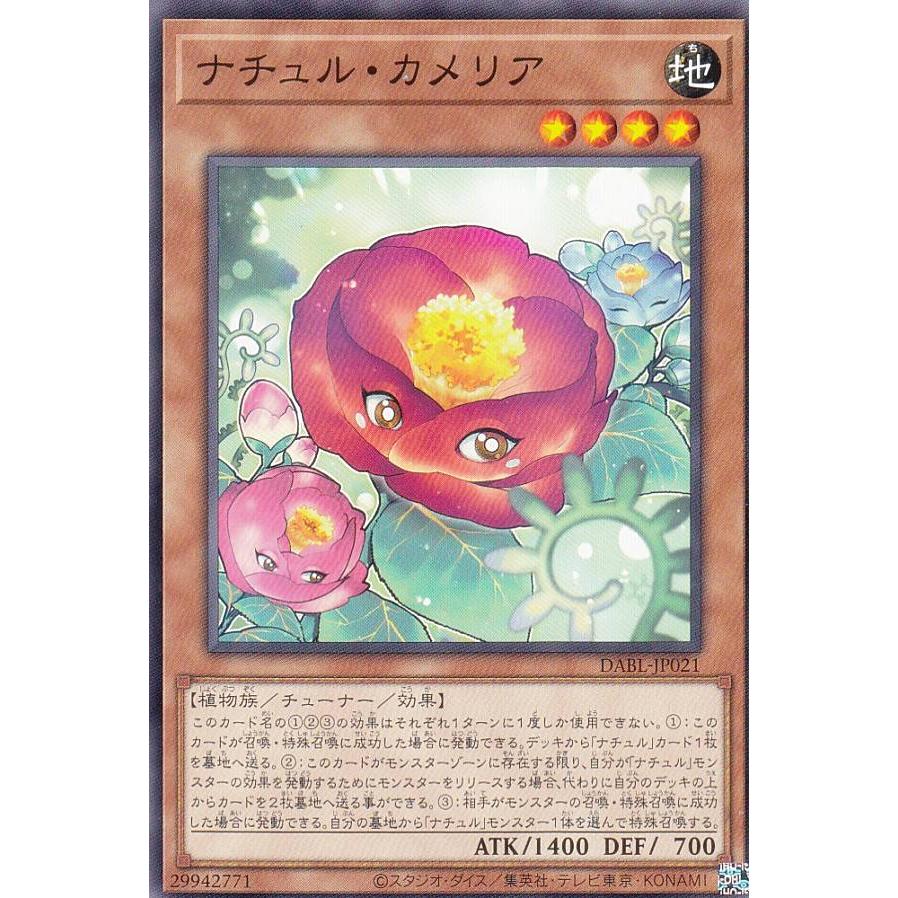 【プレイ用】 遊戯王 DABL-JP021 ナチュル・カメリア (日本語版 ノーマル) ダークウィング・ブラスト 【中古】 | 
