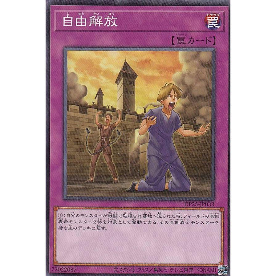 【プレイ用】遊戯王 DP25-JP033 自由解放 (日本語版 ノーマル) デュエリストパック - 疾風のデュエリスト編 - 【中古】 | 