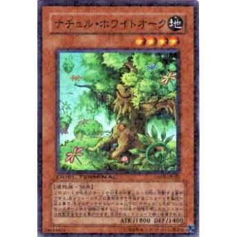 【プレイ用】遊戯王 DT08-JP031 ナチュル・ホワイトオーク(日本語版 スーパーレア)【中古】 | 