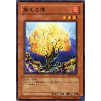 【プレイ用】遊戯王 EE2-JP063 燃える藻(日本語版 ノーマル)【中古】 | 