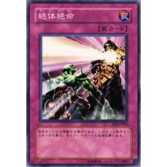 【プレイ用】遊戯王 EE3-JP050 絶体絶命(日本語版 ノーマル)【中古】 | 