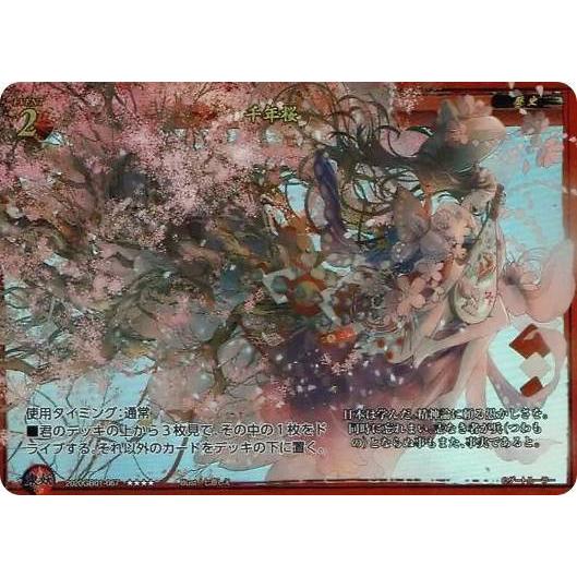 ゲートルーラー千年桜プロモ
