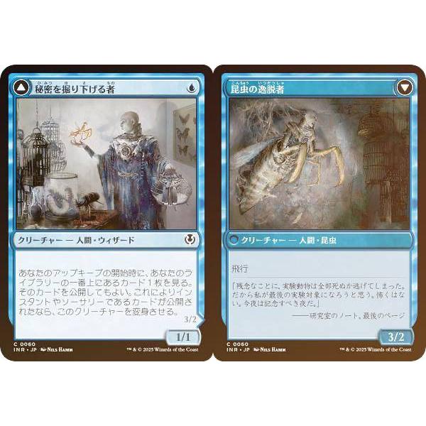 FOIL】マジックザギャザリング INR JP 0060 秘密を掘り下げる者 / 昆虫