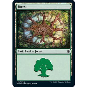 ☆送料込☆ mtg Forest 森　LEA 英1枚 ☆送料込☆ mtg Forest 森 LEA 英1枚 A)《森/Forest》[