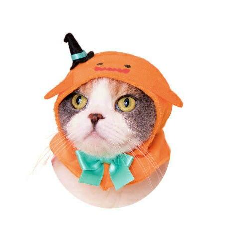 おばけ】かわいいかわいい ねこハロウィンちゃん -パーティーカラー