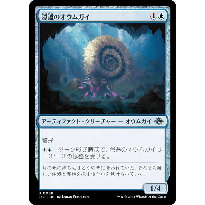 オウムガイ　ハーフカット　額入 オウムガイ ハーフカット 額入