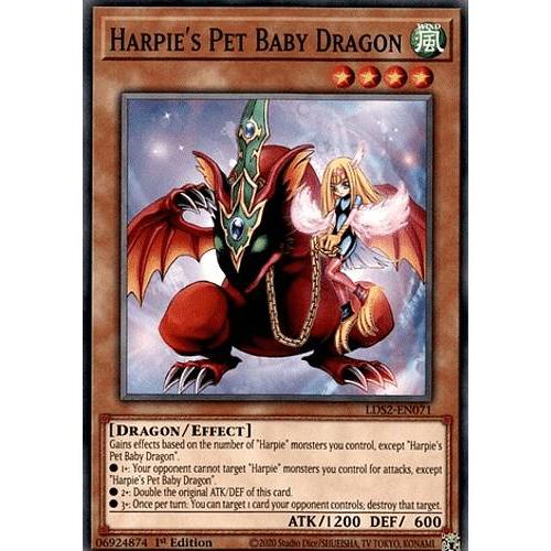 遊戯王 ハーピィズペット仔竜 英語版 レリーフ 1st 遊戯王 ハーピィズ