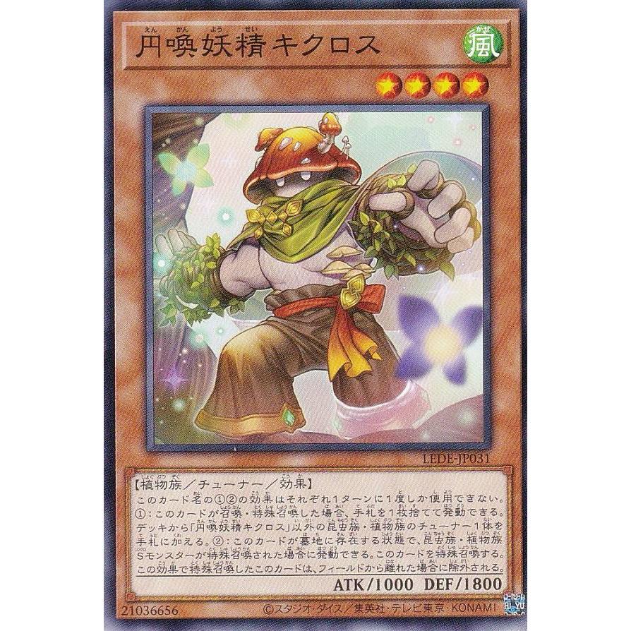 遊戯王 LEDE-JP031 円喚妖精キクロス (日本語版 ノーマル