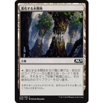 Foil マジックザギャザリング M Jp 246 進化する未開地 日本語版コモン 基本セット Core Set Mtg Sagaretxe Net