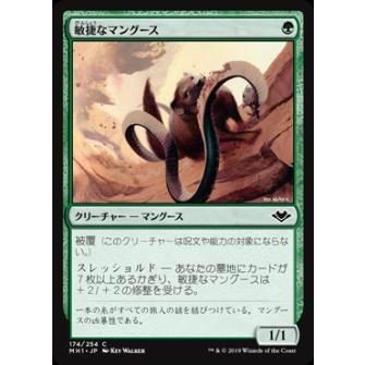 マジックザギャザリング Mh1 Jp 174 敏捷なマングース 日本語版 コモン モダンホライゾン Modern Horizons Mtg Mhtt174 トレカショップ Lead 通販 Yahoo ショッピング