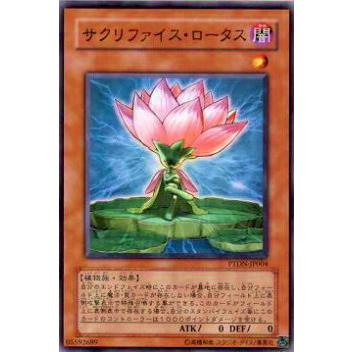 【プレイ用】遊戯王 PTDN-JP004 サクリファイス・ロータス(日本語版 ノーマル)【中古】 | 