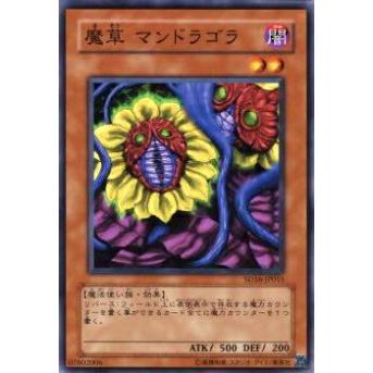 【プレイ用】遊戯王 SD16-JP015 魔草 マンドラゴラ(日本語版 ノーマル) 【中古】 | 