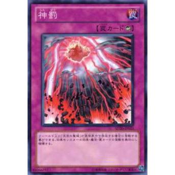 【プレイ用】遊戯王 SD20-JP033 神罰(日本語版 ノーマル) 【中古】 | 